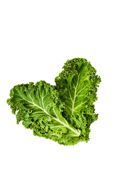 Kale Chips Mixed Box - 12 Packs ($3.20 / 20g Pack)